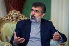 Iran und IAEA fordern Fortsetzung der Kooperationen 